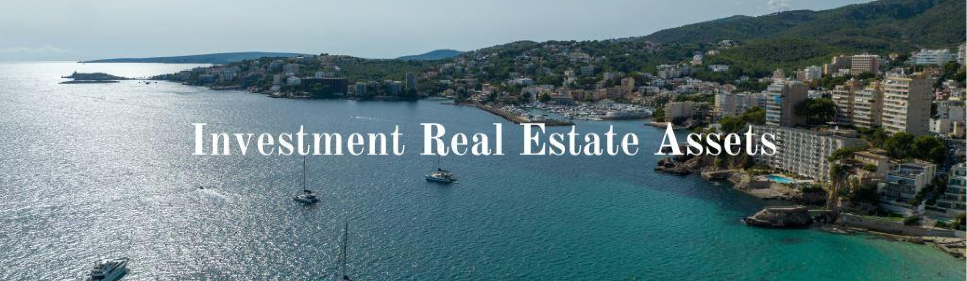 Investment Real Estate Assets