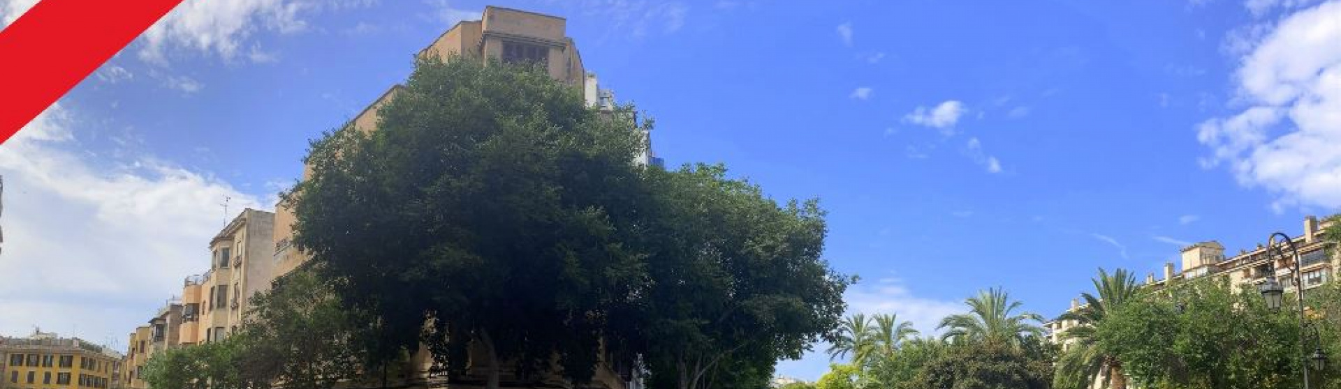 Building in prime location - Palma-Paseo Mallorca