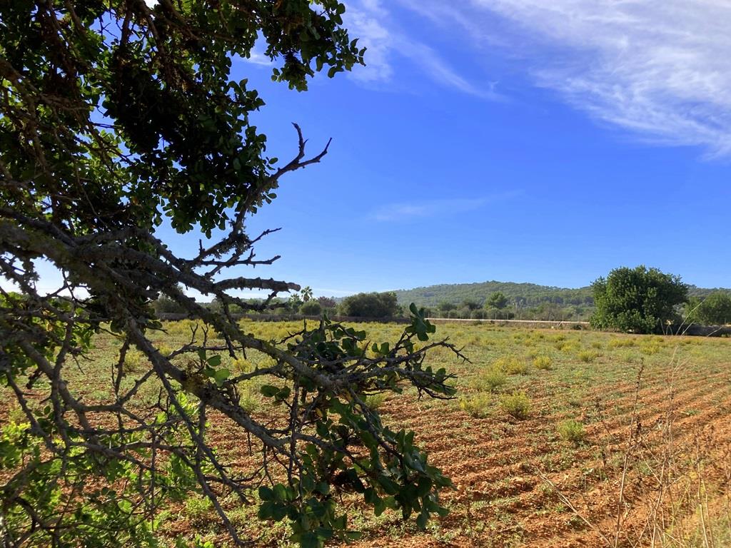 galdent, llucmayor, Spain, 3 Dormitorios Dormitorios, ,4 BañosBaños,Propiedades singulares,En Venta,galdent,1148