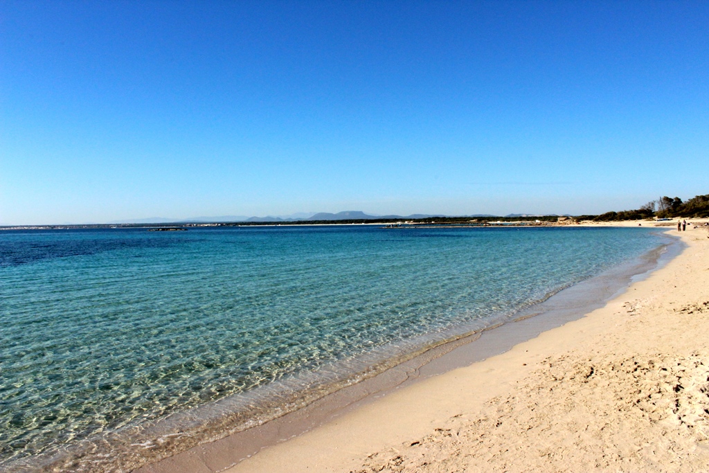 ses salines, colonia sant jordi, Balearic Islands, Spain, 3 Dormitorios Dormitorios, ,2 BañosBaños,Propiedades singulares,En Venta,1149